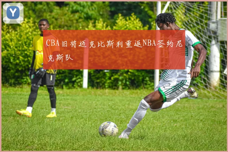 CBA旧将迈克比斯利重返NBA签约尼克斯队