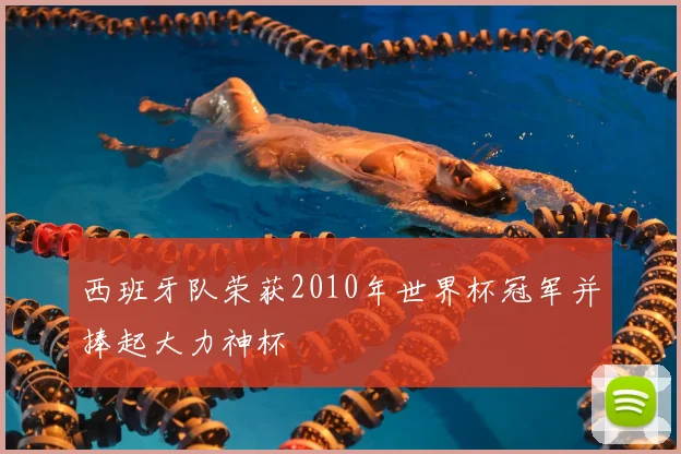 西班牙队荣获2010年世界杯冠军并捧起大力神杯