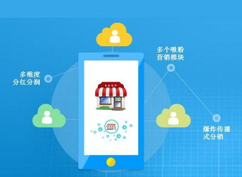 一元购软件开发与销售 机遇、挑战与市场前景