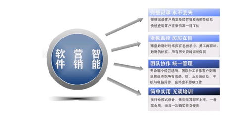 上海软件开发与销售 数字经济时代的创新引擎与市场机遇